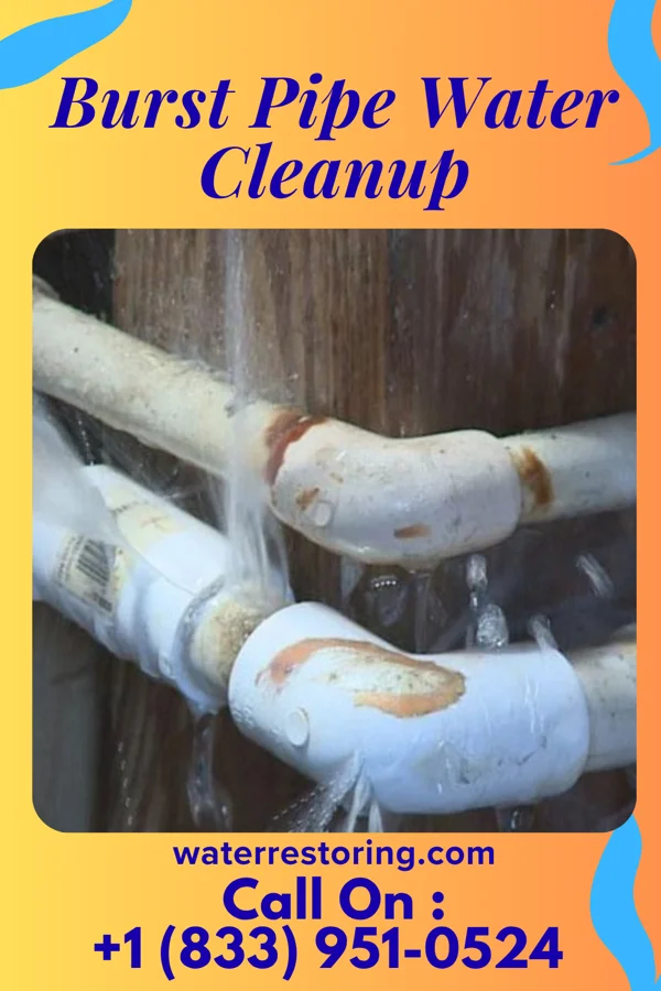 Burst Pipe Water Cleanup in Sherando, VA