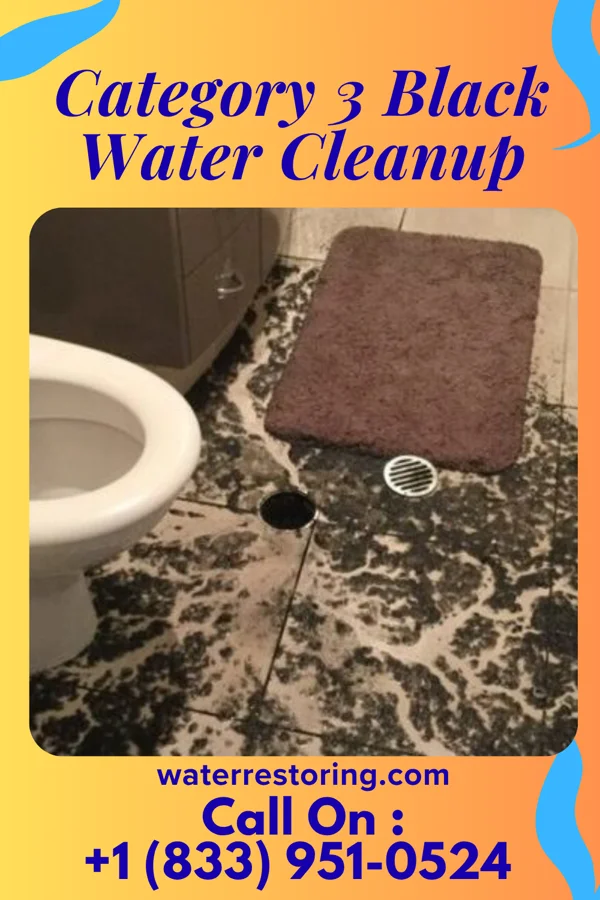 Category 3 Black Water Cleanup in Sherando, VA
