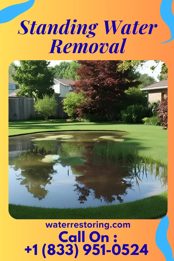 Standing Water Removal in Sherando, VA